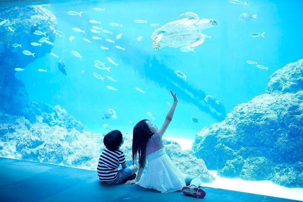 子供連れでも安心！冬休みにおでかけしたい全国おすすめ水族館15選の画像