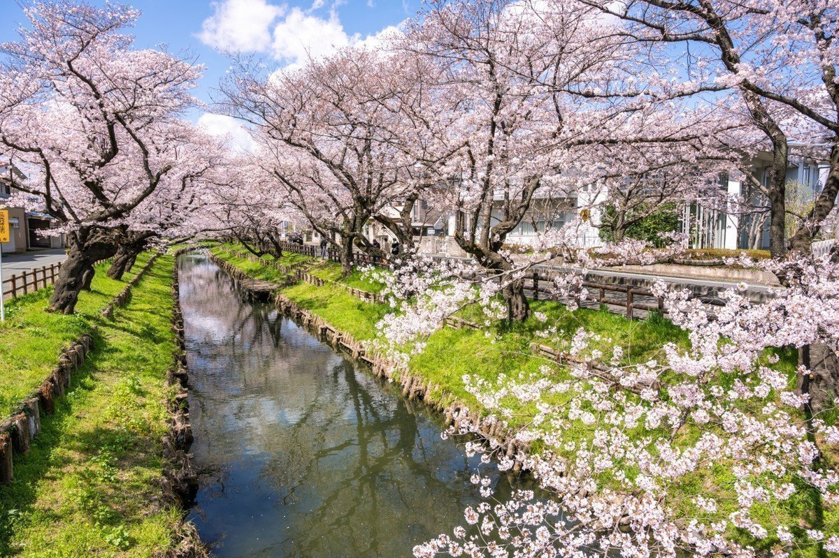 【2020年版】埼玉県川越市 認可外保育園 全39園をご紹介！の画像