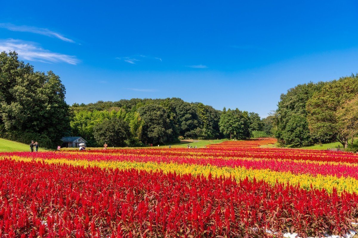 【2020年版】埼玉県熊谷市 認可保育園・認可外保育園・地域型保育園 全52施設を全てご紹介！の画像