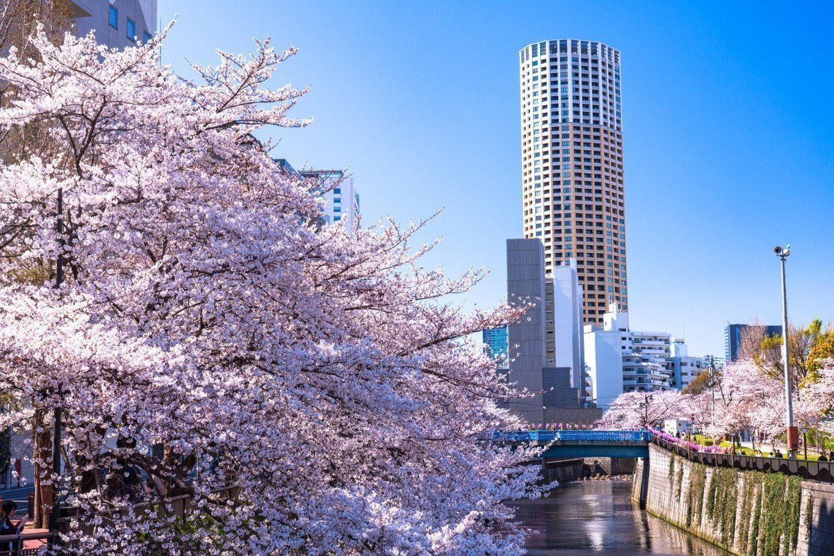 【2020年版】東京都目黒区 認可保育園全88園を紹介！～住みたい街ランキング第2位の人気エリア！～の画像