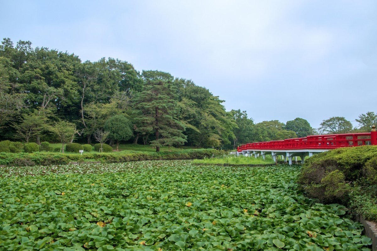 【2020年版】さいたま市岩槻区 地域型保育園 全2園をご紹介！の画像