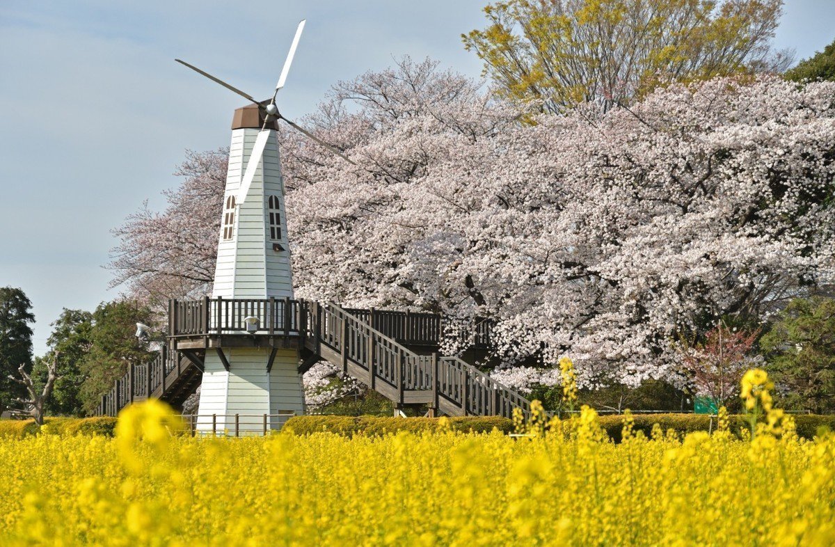 【2020年版】さいたま市北区 認可外保育園 全15園をご紹介！の画像