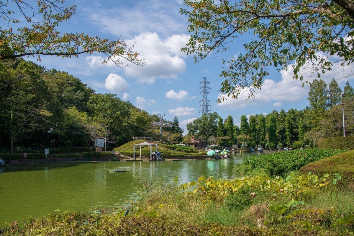 【2020年版】さいたま市緑区 地域型保育園 全17園をご紹介！の画像