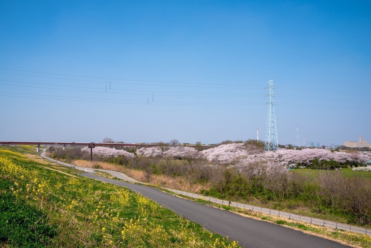 【2020年版】さいたま市桜区 認可外保育園 全7園をご紹介！の画像