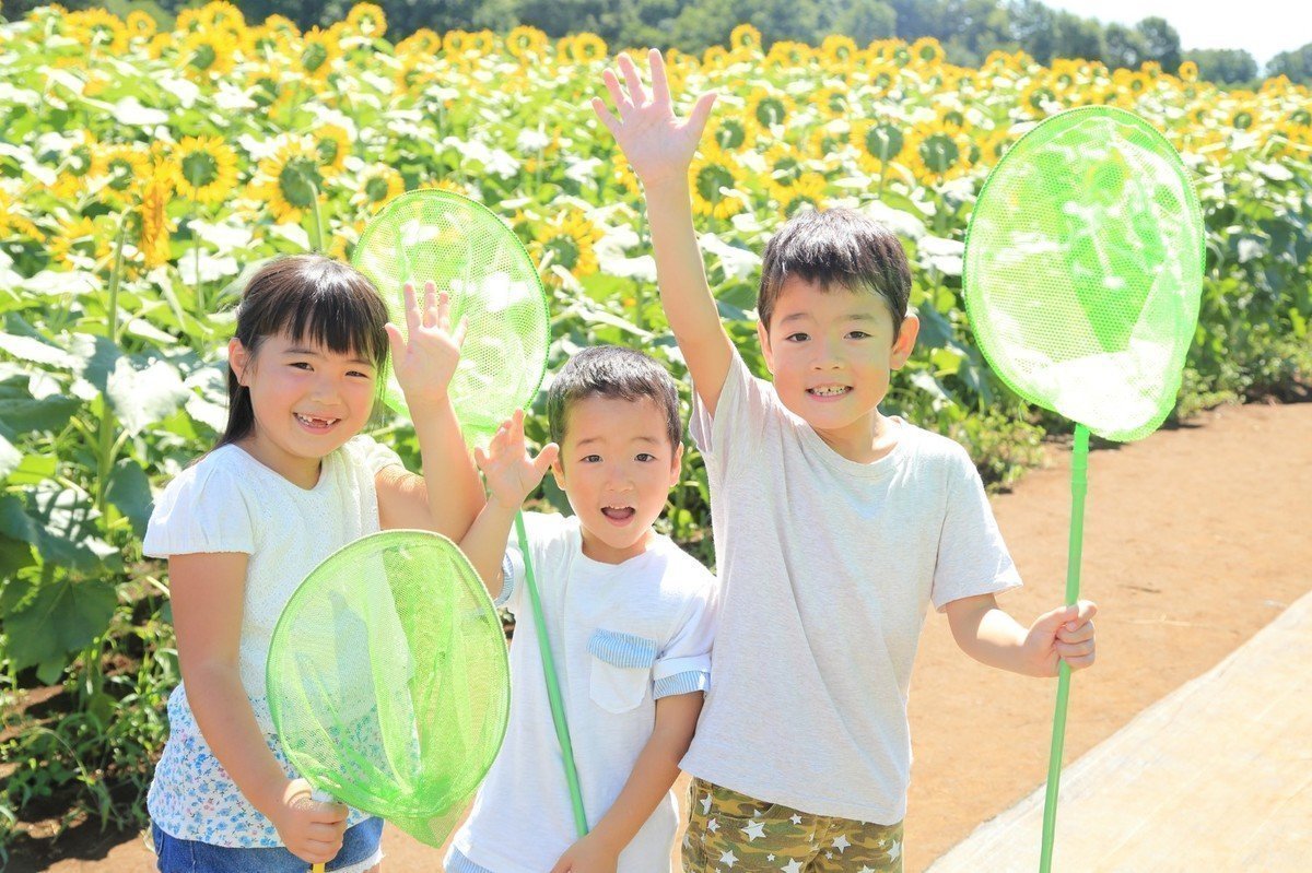 保育園にも夏休みはあるの？ある場合の保育料は？仕事がある時はどうする？の画像